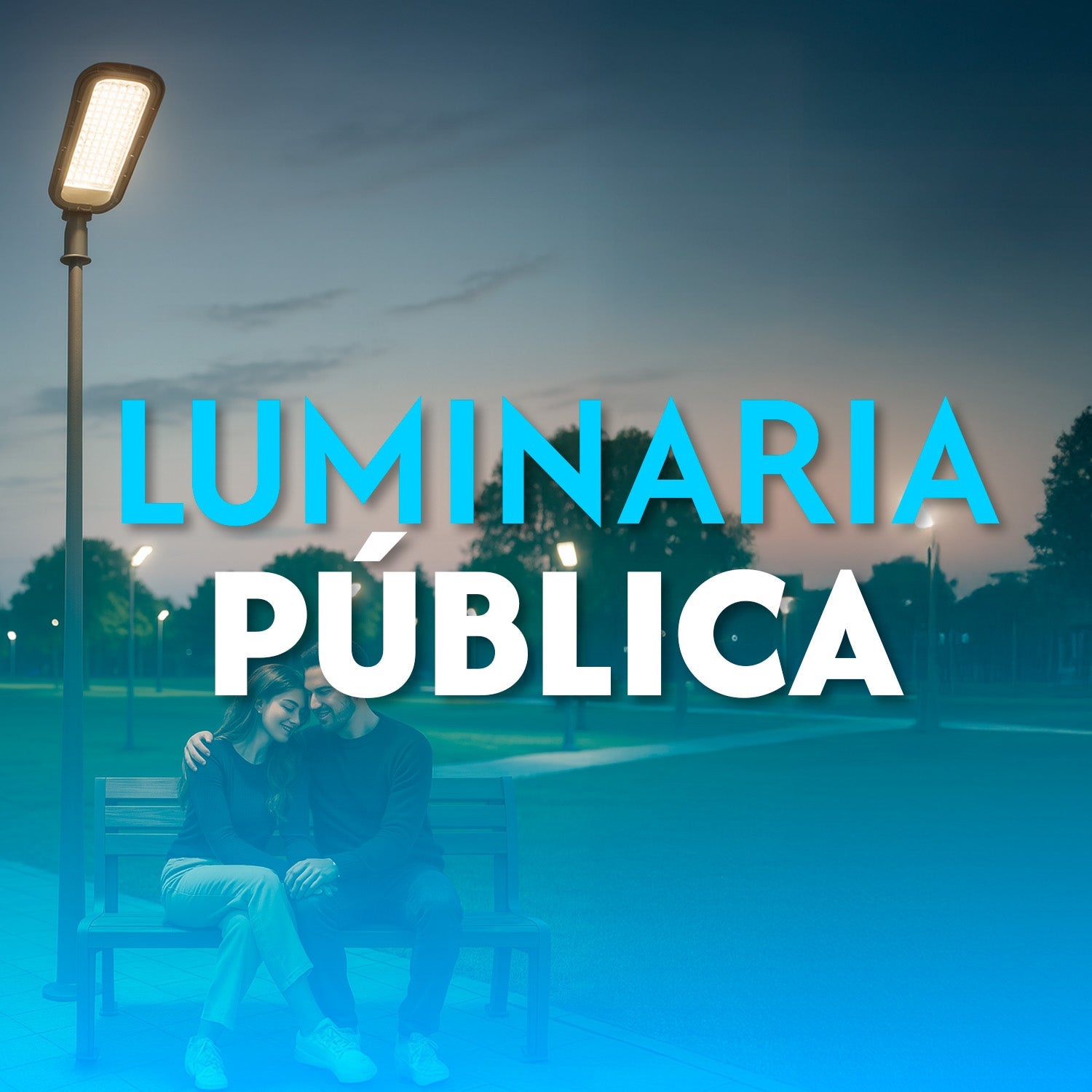 LUMINARIA PÚBLICA